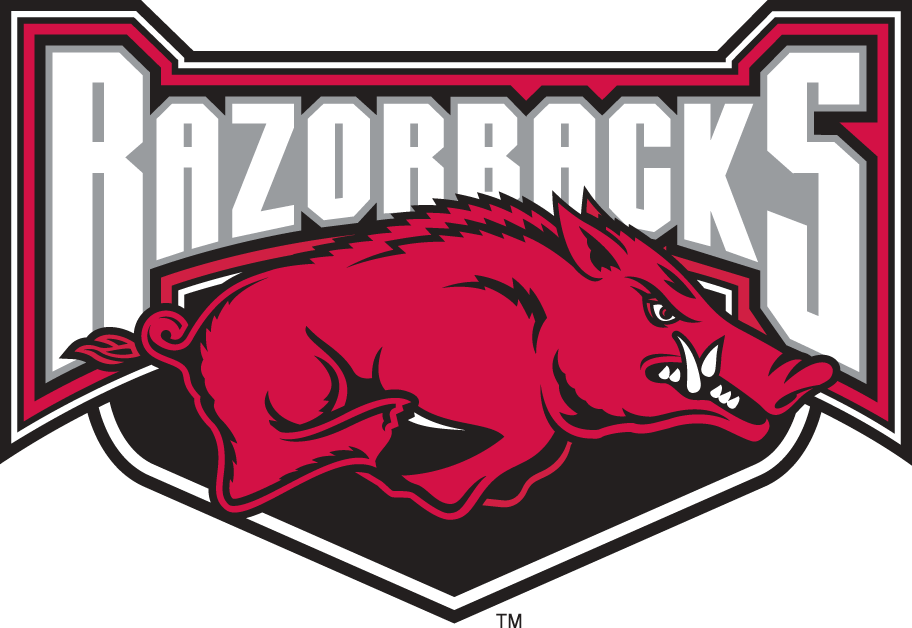 Arkansas Razorbacks 2001-2008 Alternate Logo v2 diy DTF decal sticker